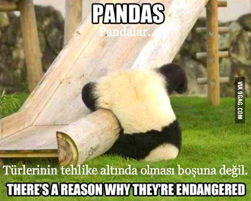 komik panda
